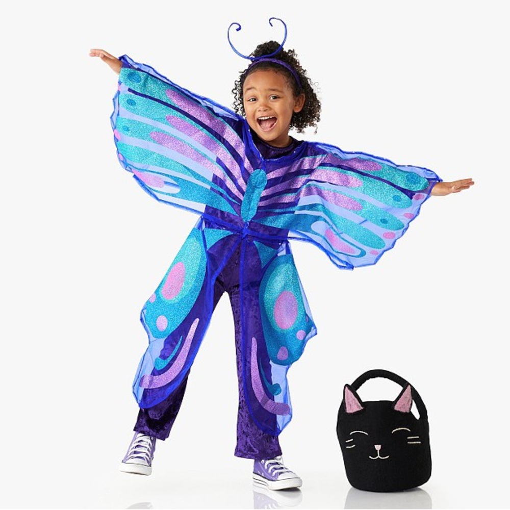 Pottery Barn Kids Blue and Purple Butterfly Costume